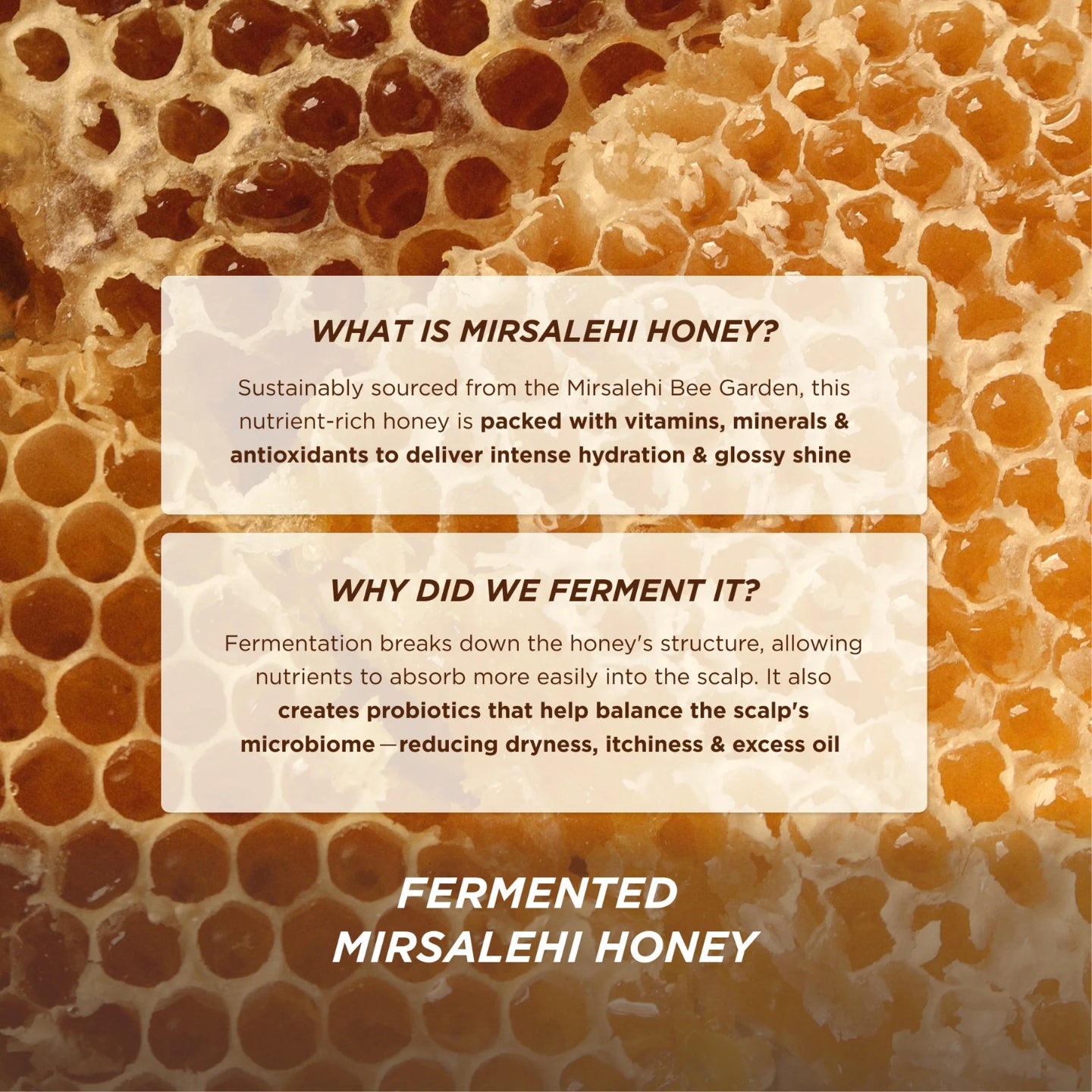 Honeycomb with text about Mirsalehi Honey and fermentation process on a honeycomb background.