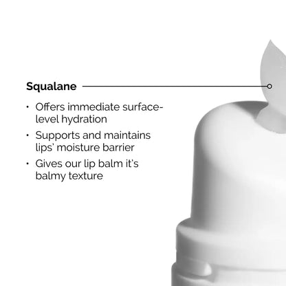 Squalane + Amino Acids Lip Balm